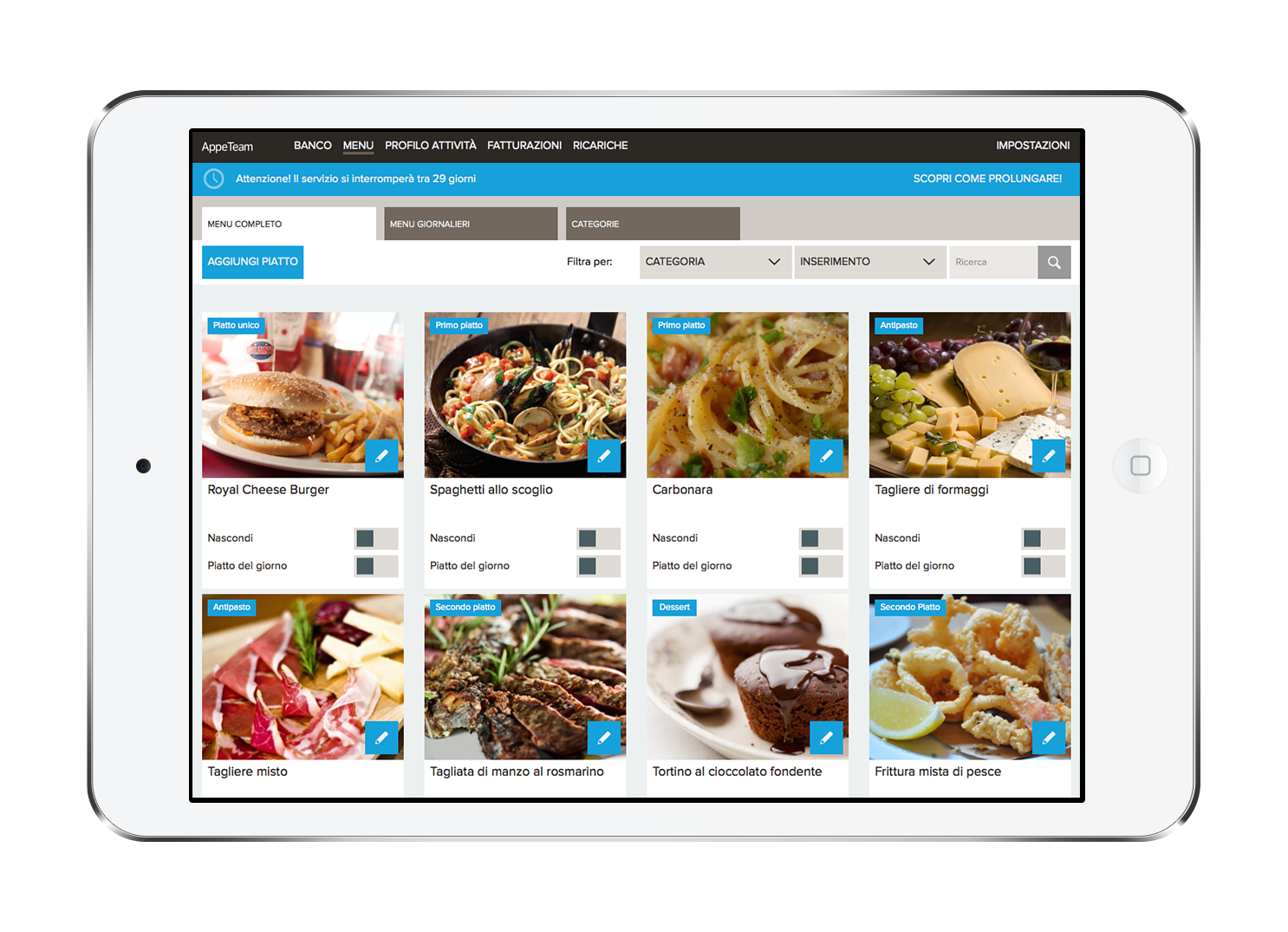 iPad Image